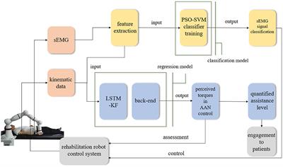 Assistance level quantification-based human-robot interaction space reshaping for rehabilitation training